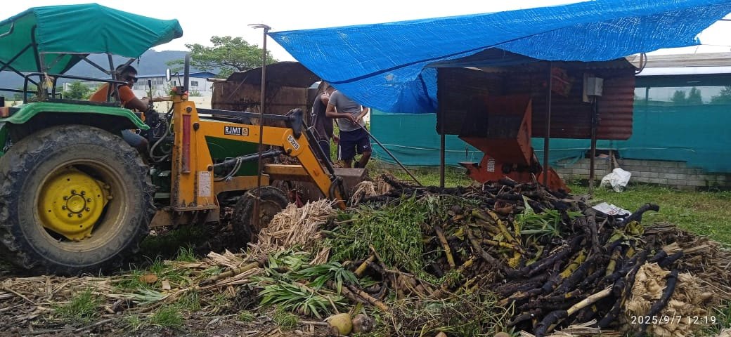 Green and agricultural waste being fed to the shredder